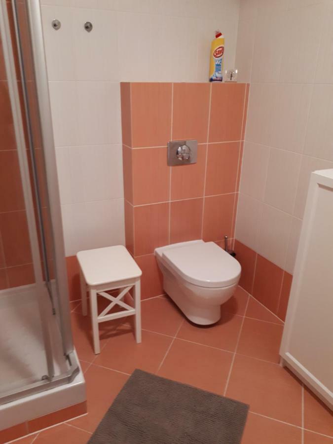 Hrabovo Alzbeta 16 Apartment Ruzomberok Bagian luar foto